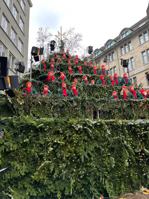 Zauberhafte Stimmung beim «Singing Christmas Tree»