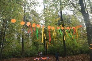 Ein grosses «Chürbis-Fest» im Wald