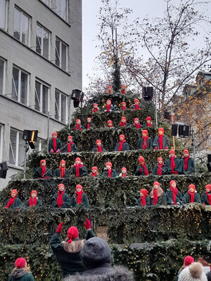 Zauberhafte Stimmung beim «Singing Christmas Tree»
